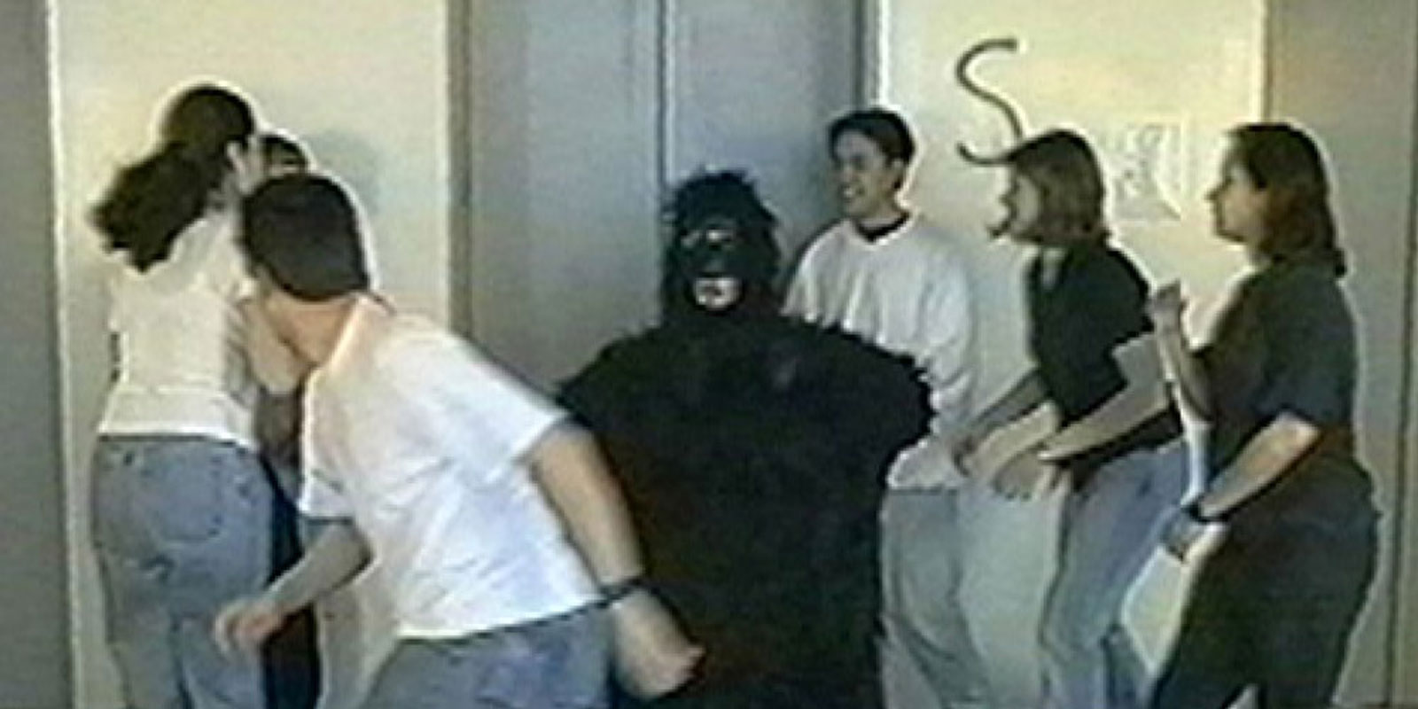 Gorilla