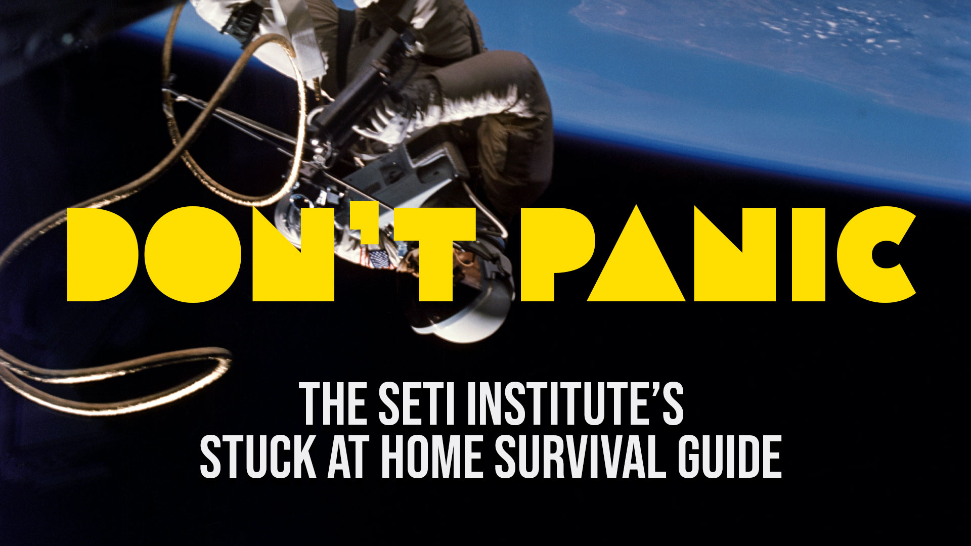 survival guide
