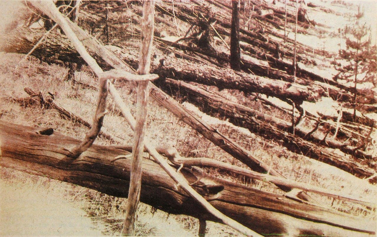 Tunguska Event