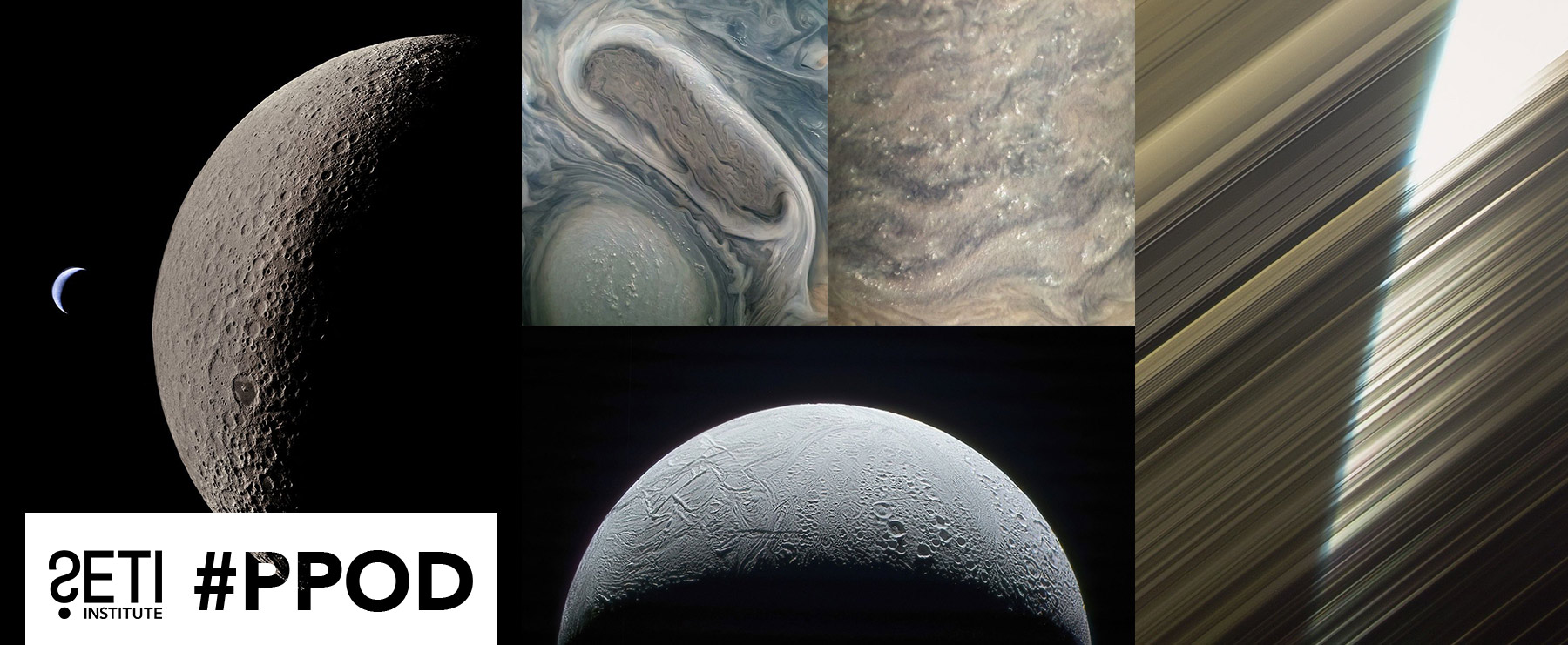 Collage of the PPOD Images