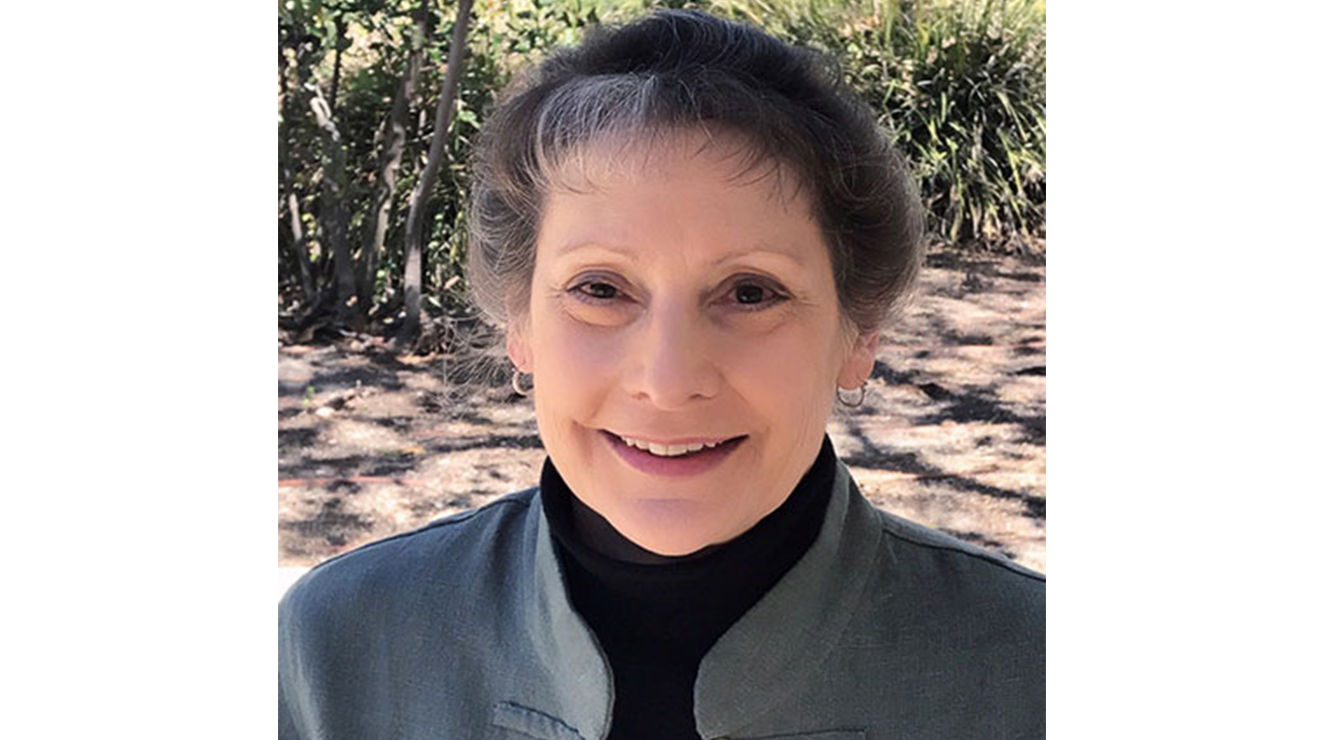 Pamela Harman