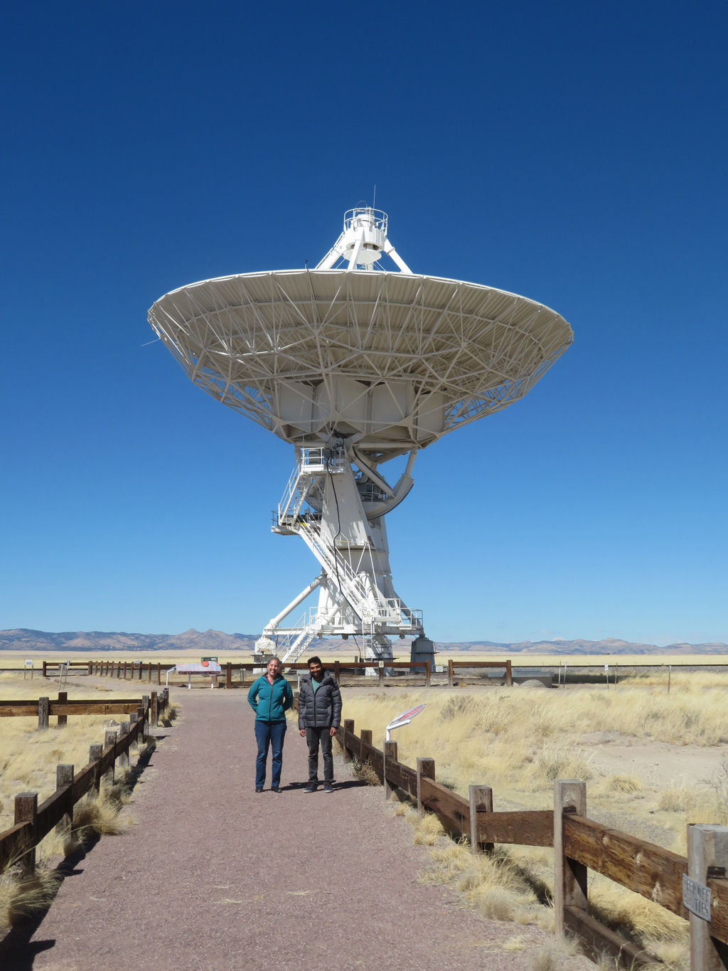 Dr Savin Varghese and Dr Chenoa Tremblay at the VLA