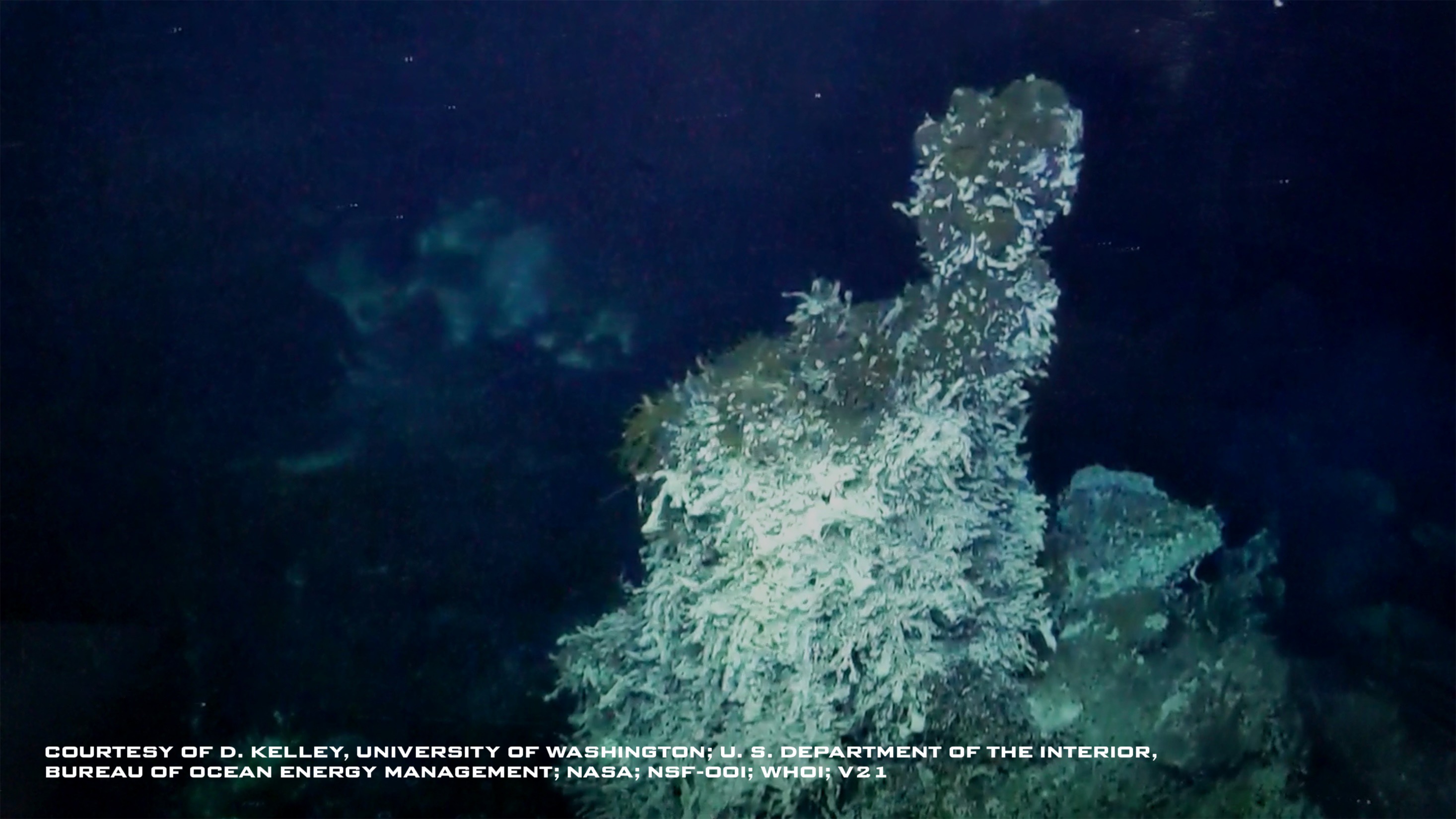 Underwater image