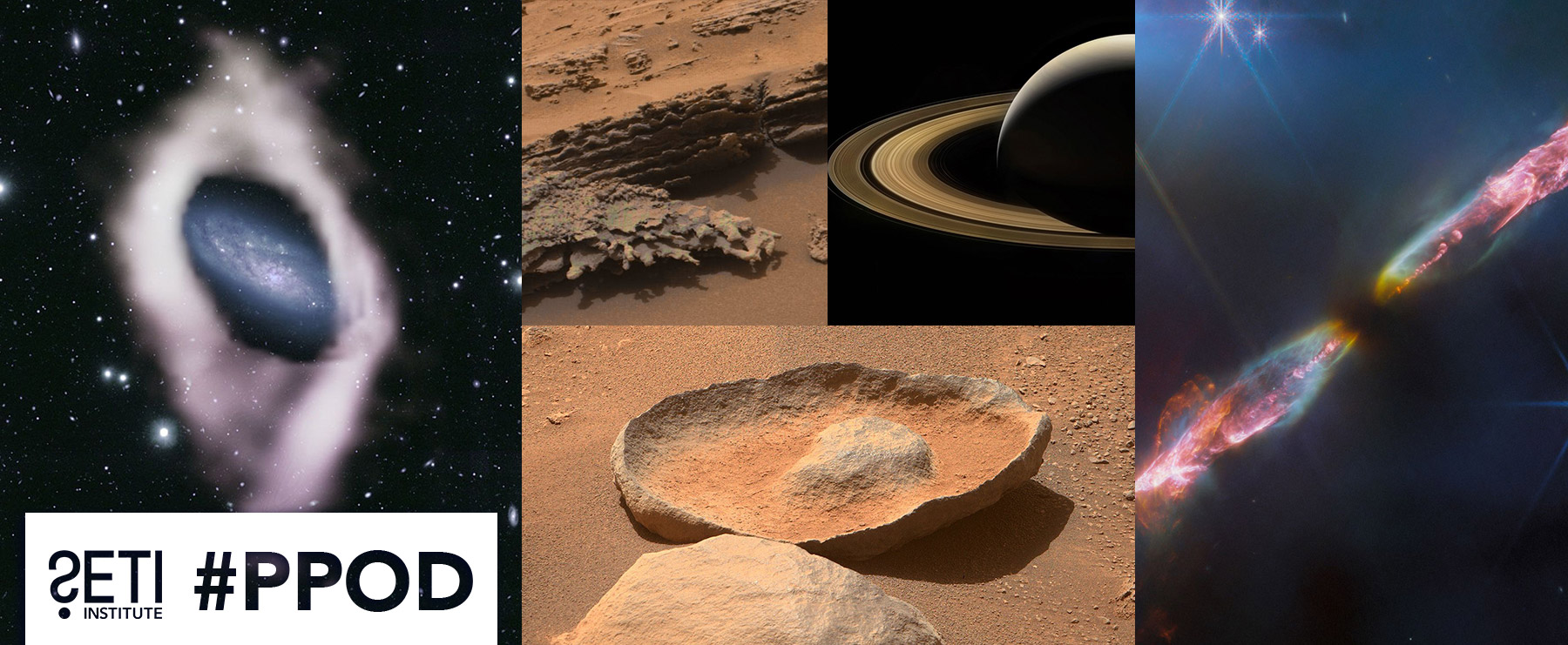 PPOD Collage