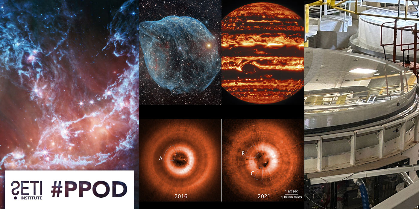 PPOD Collage
