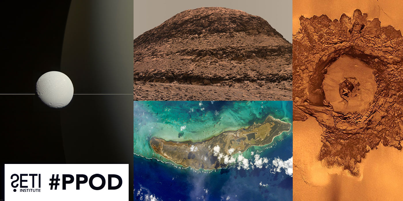 PPOD Collage