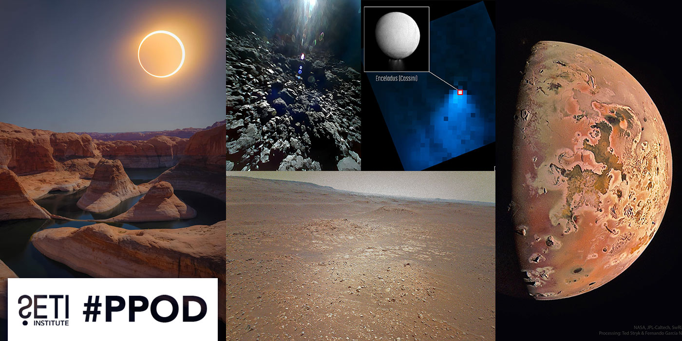 PPOD Collage