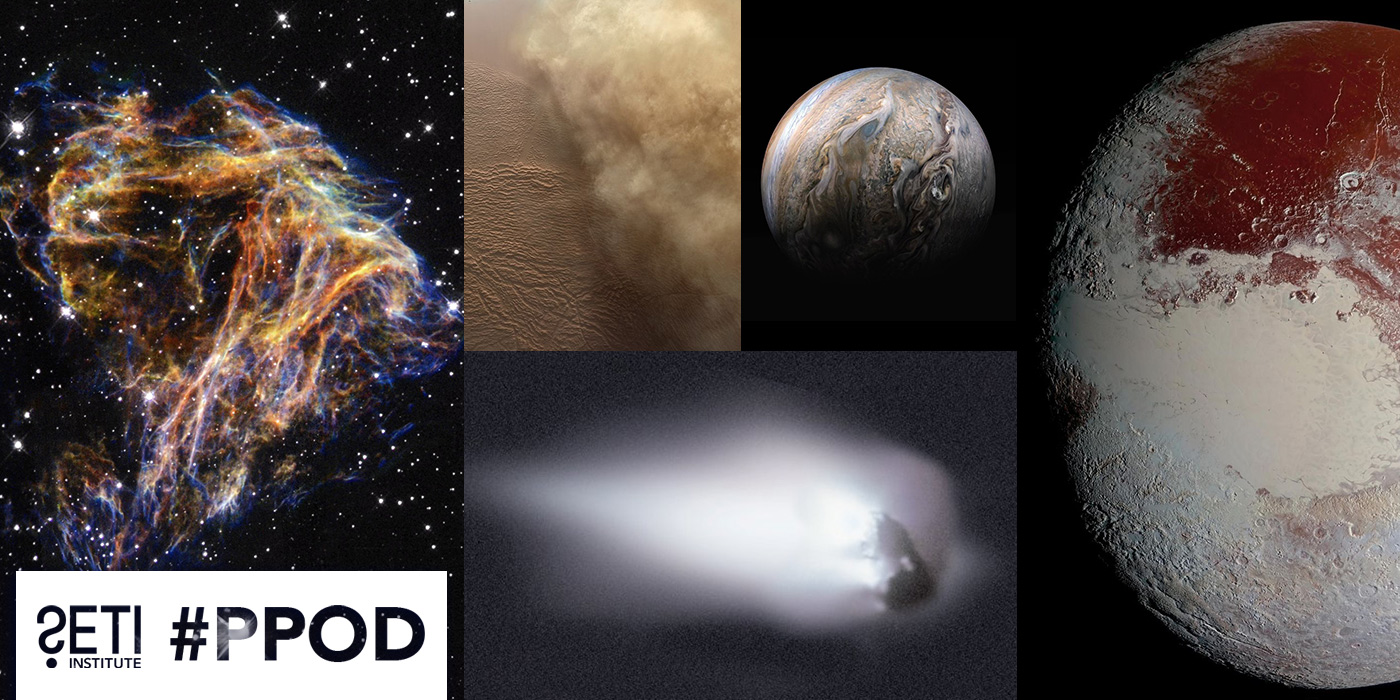 Collage of this week's PPOD