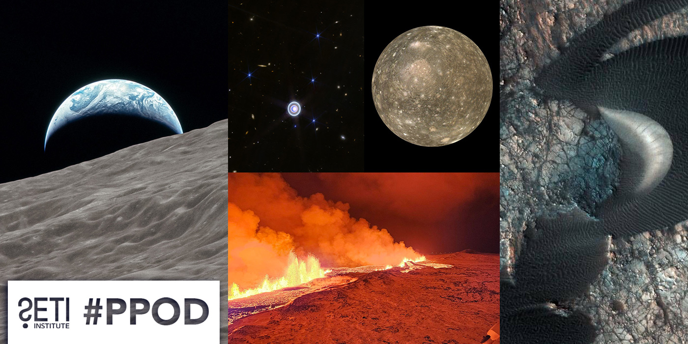 PPOD Collage