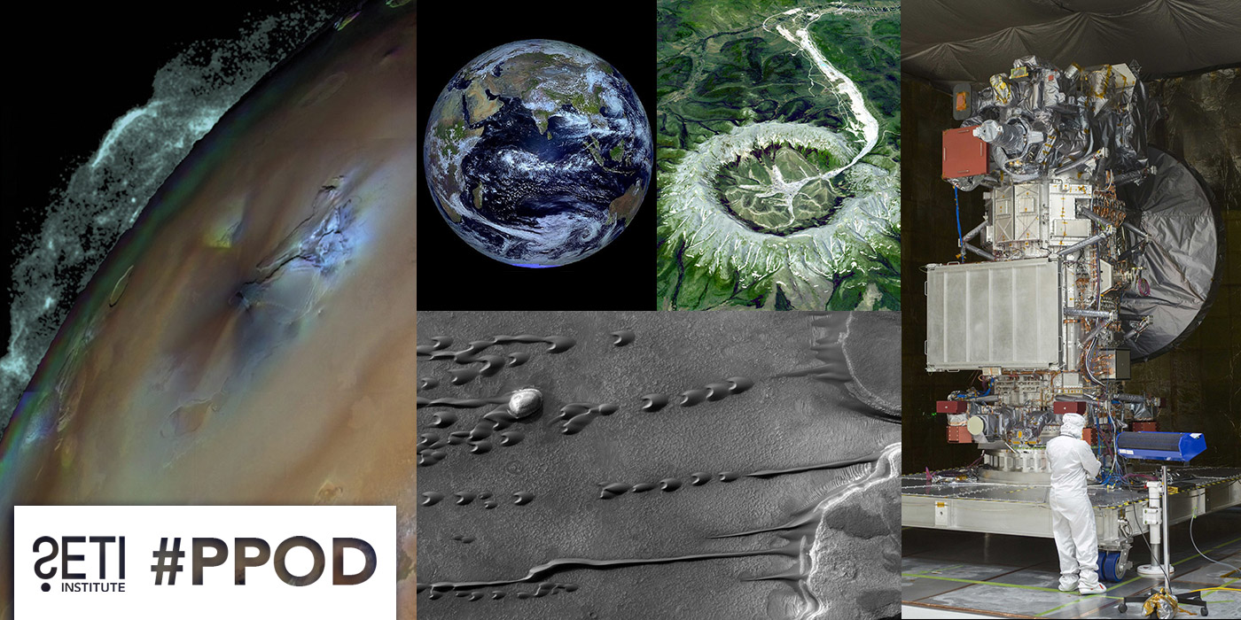 Collage of this week's PPOD