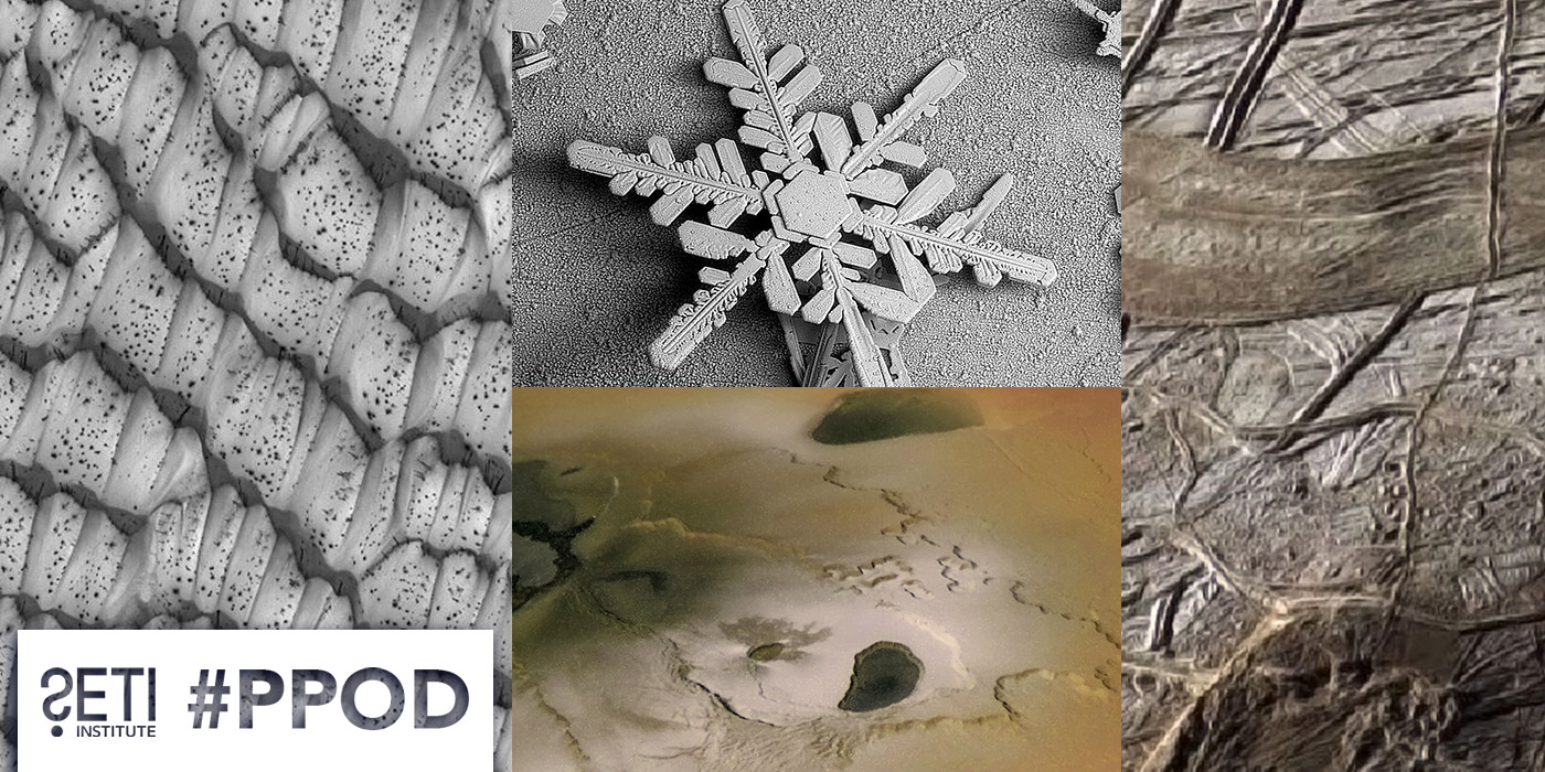 PPOD Collage