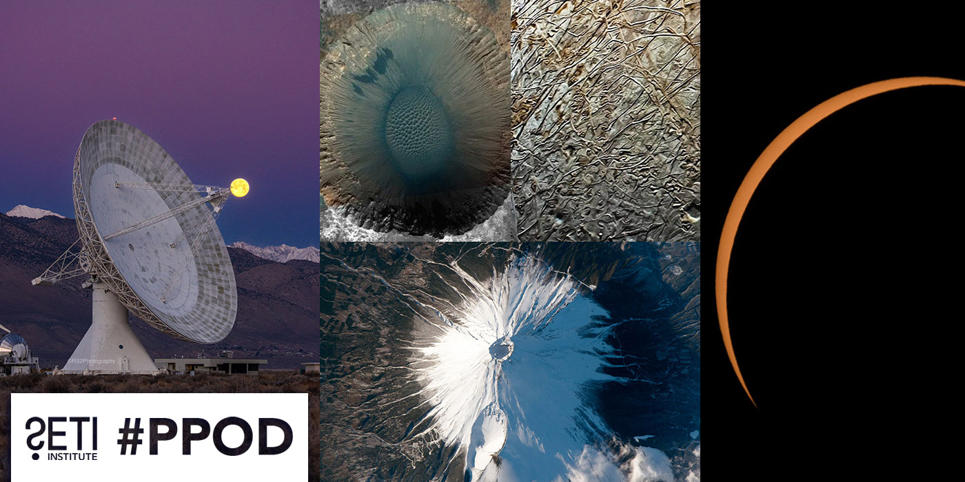 PPOD Collage