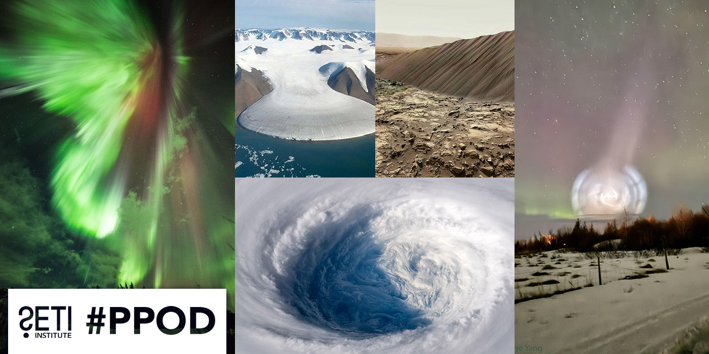 PPOD Collage