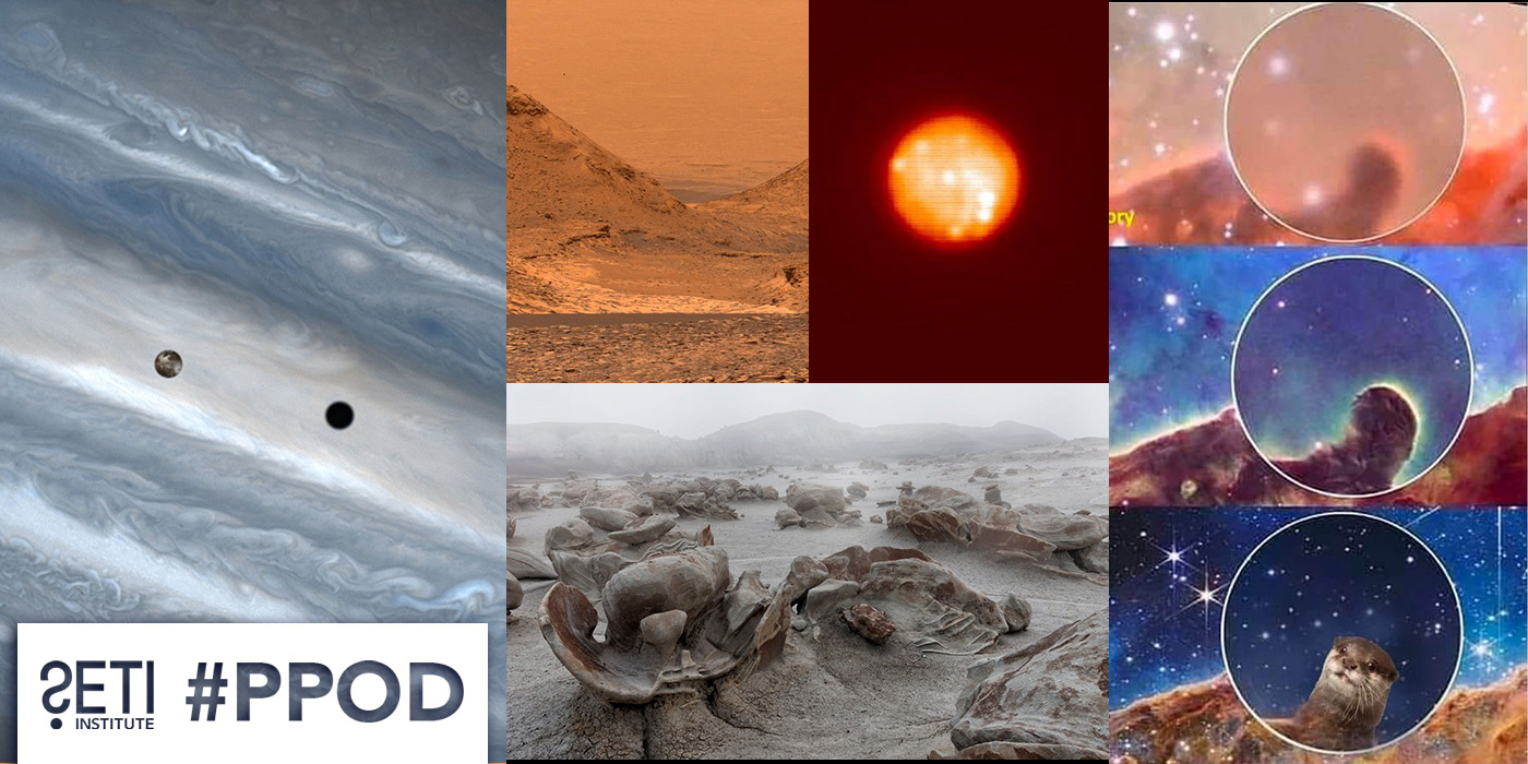 PPOD Collage