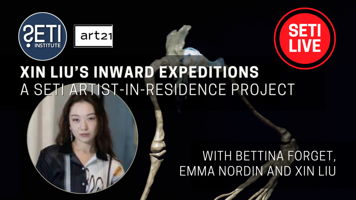 Xin Liu Inward Expeditions