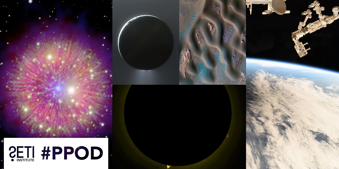 PPOD Collage