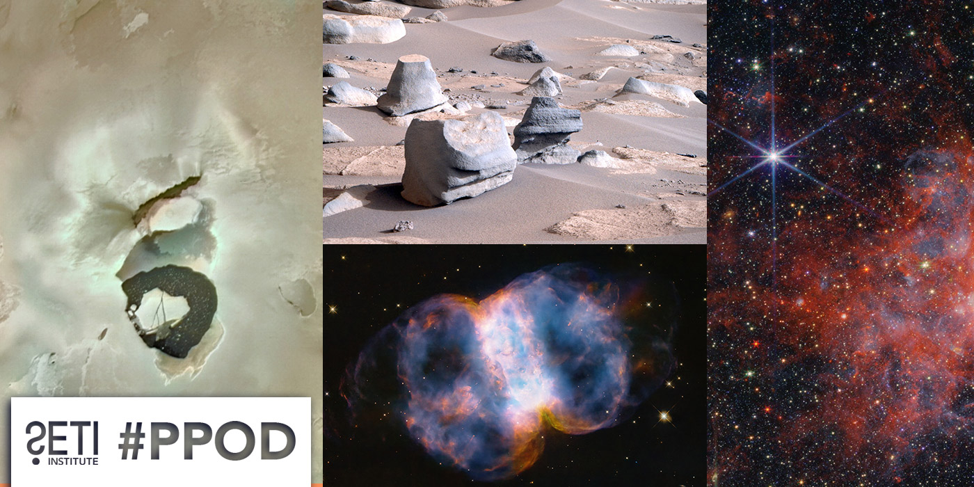 PPOD Collage
