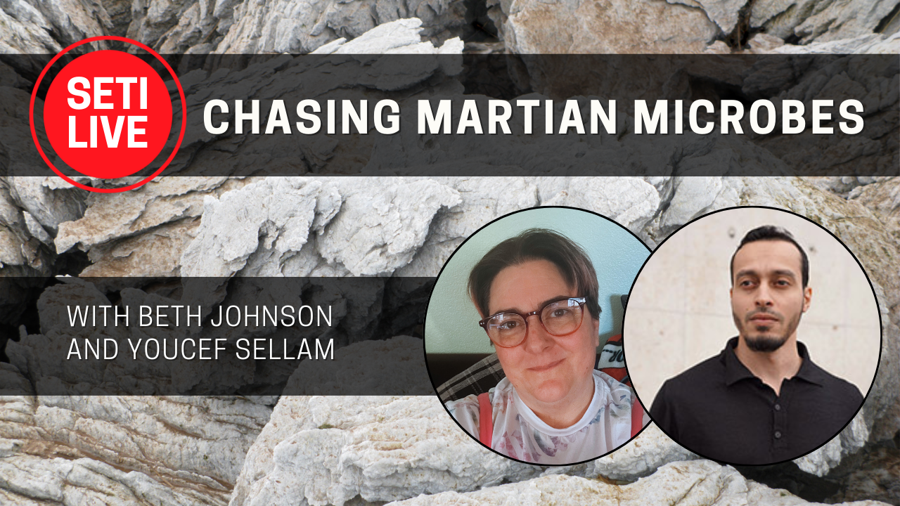 Chasing Martian Microbes