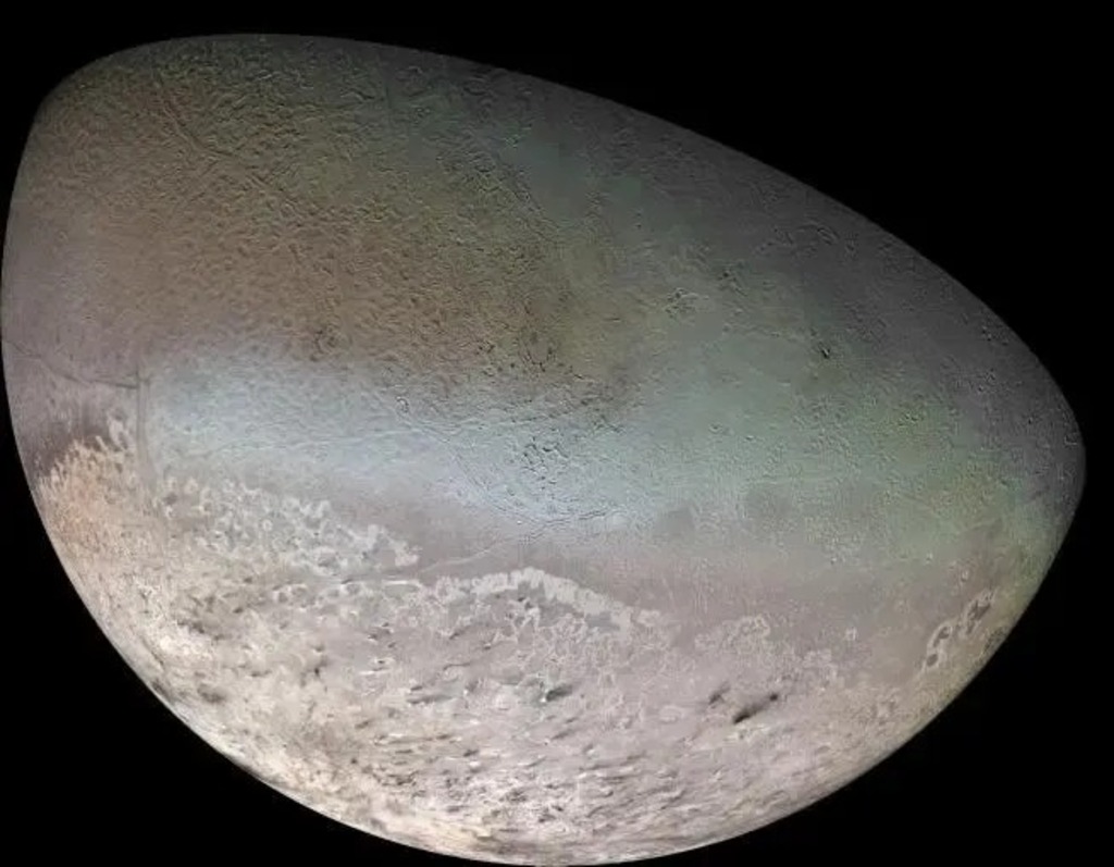 beige underside of Triton