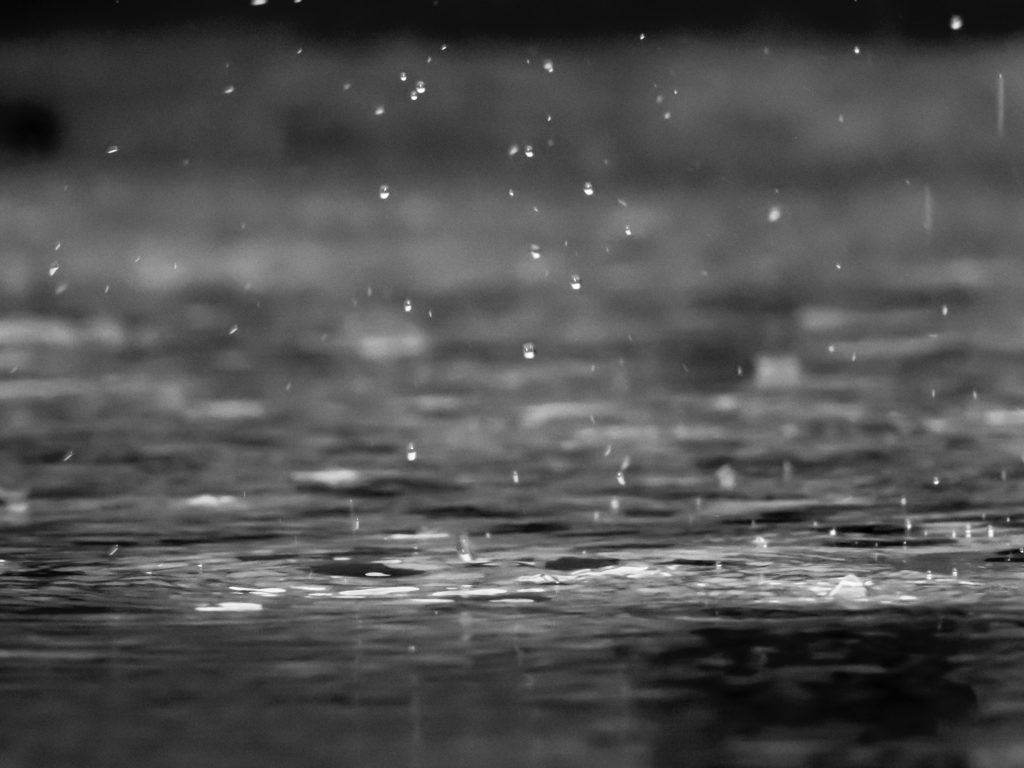 Rain Drops