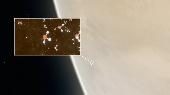 Venus and Molecules