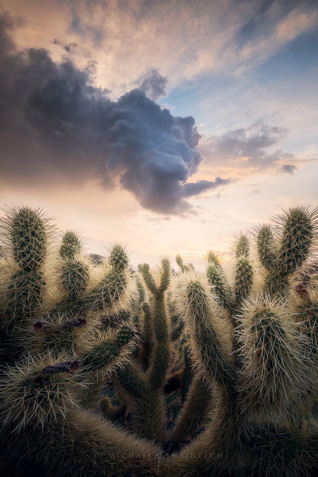 Dragon Cloud in the sky