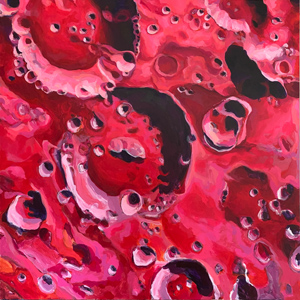 Bettina Forget - Leavitt Crater