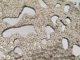 Jen Bervin - Source