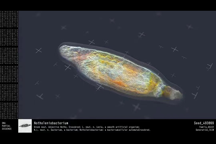 Codex Virtualis