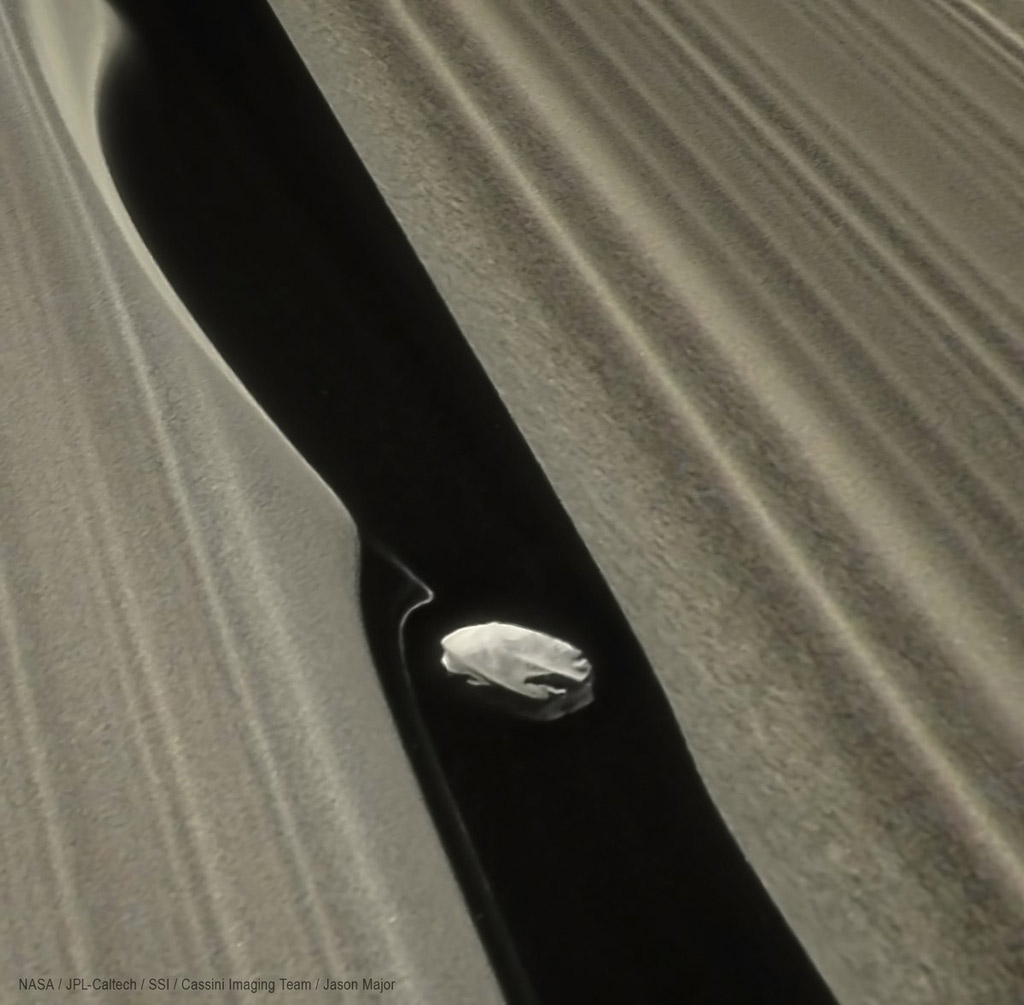 Daphnis in Saturn's Rings