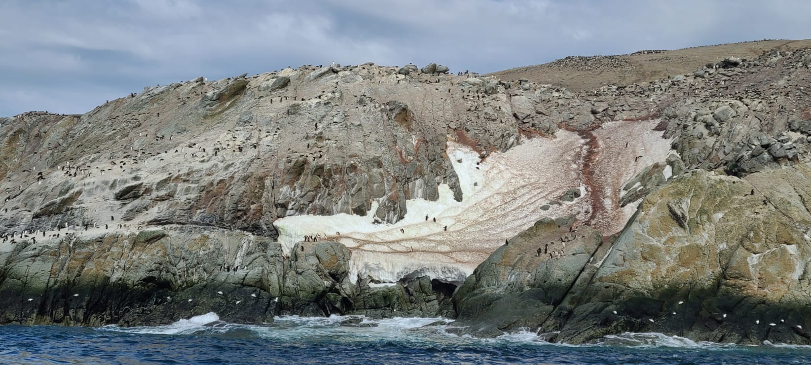 Elephant Island 6