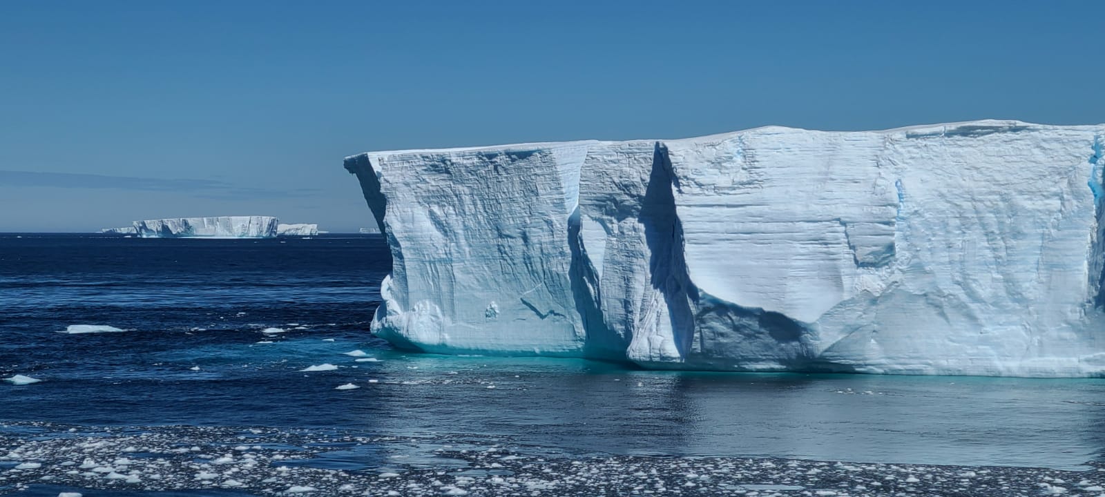 Elephant Island 7
