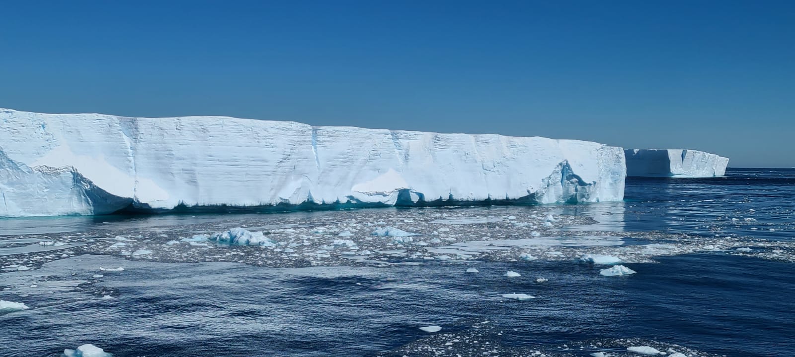 Elephant Island 8