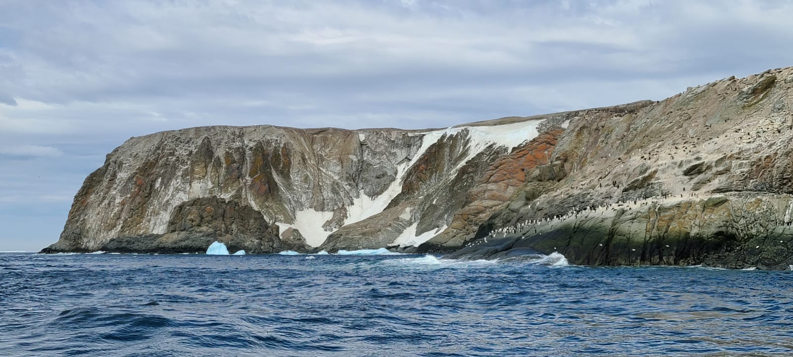 Elephant Island 4