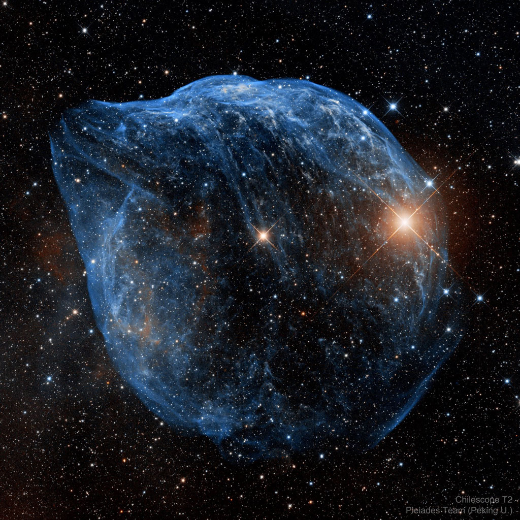 Dolphin Nebula