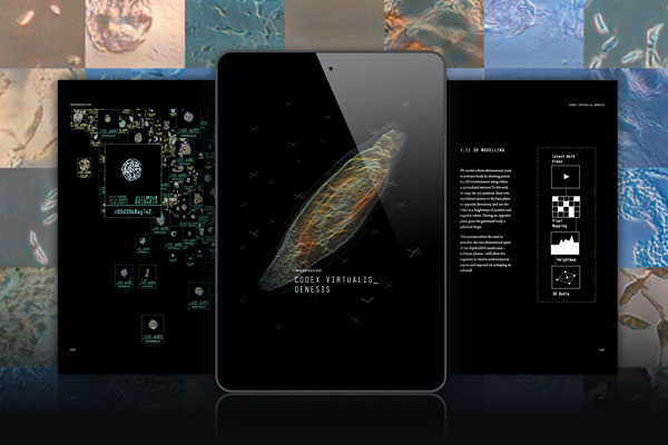 Ebook