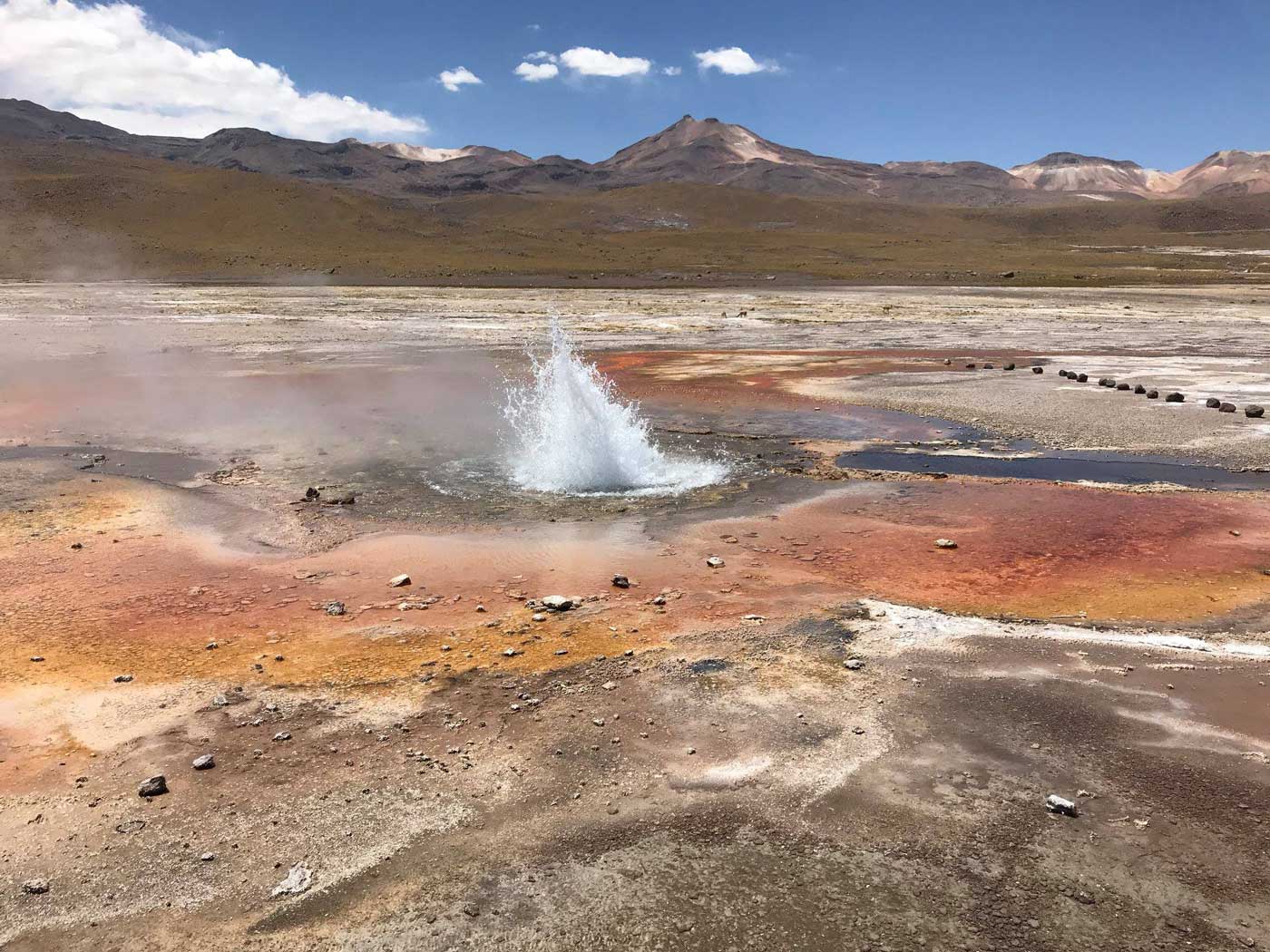 Geyser NAI Team 2018