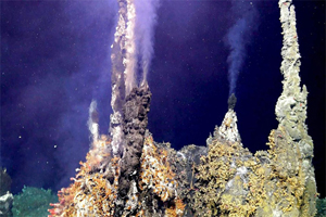 underseas scene