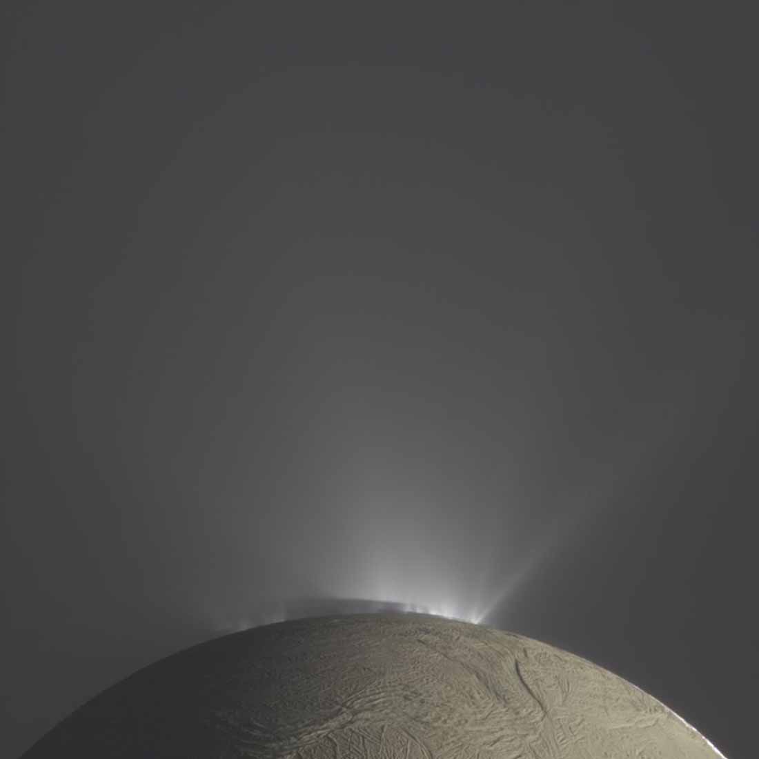 plums of enceladus
