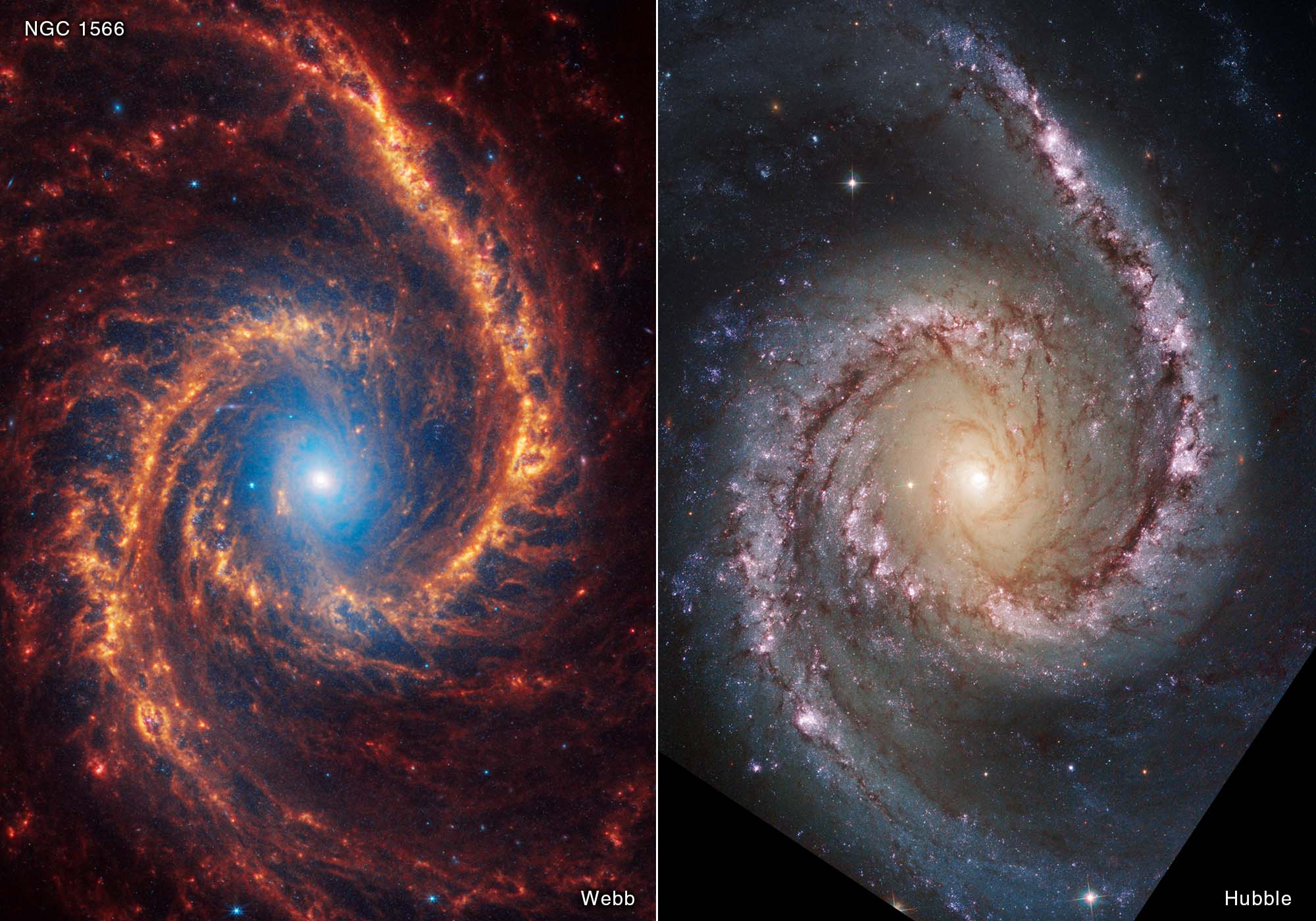 Infrared vs Visible Light