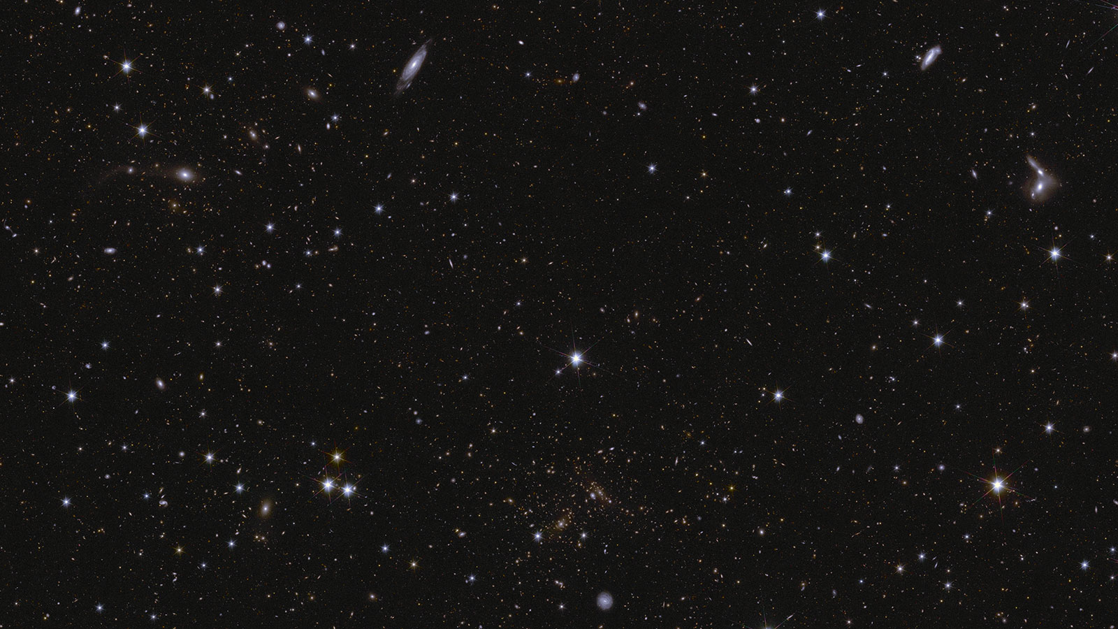 Euclid Deep Field