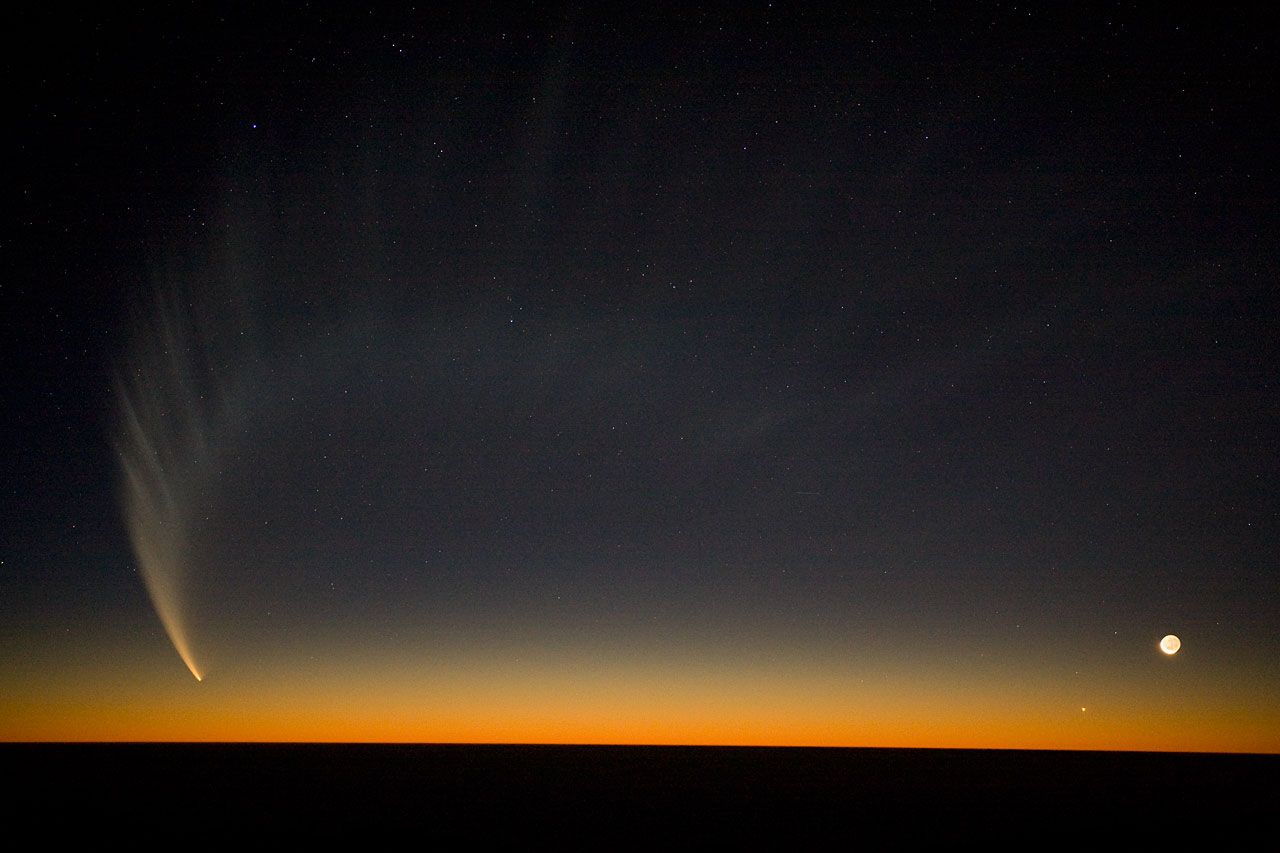 Comet McNaught