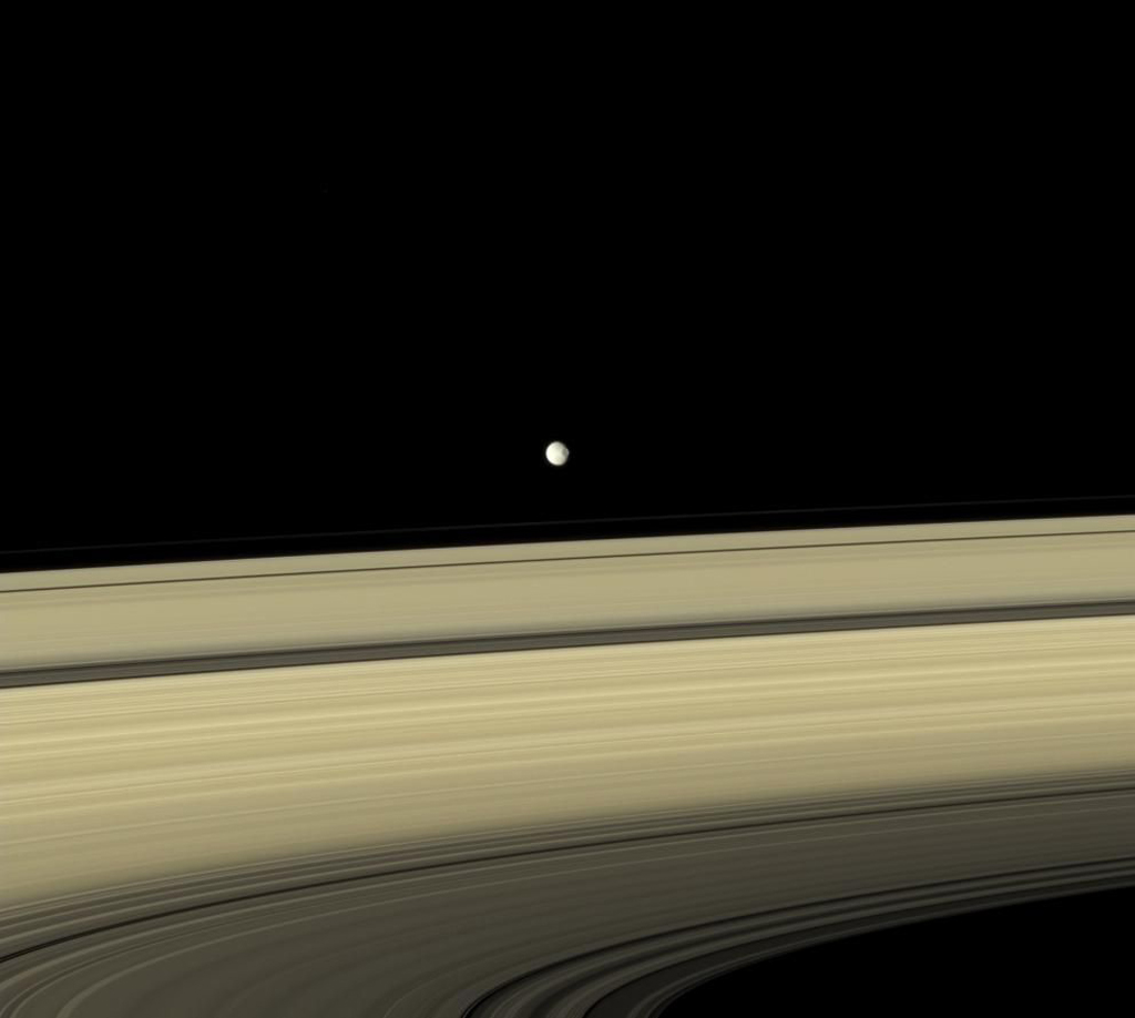 Gray Mimas