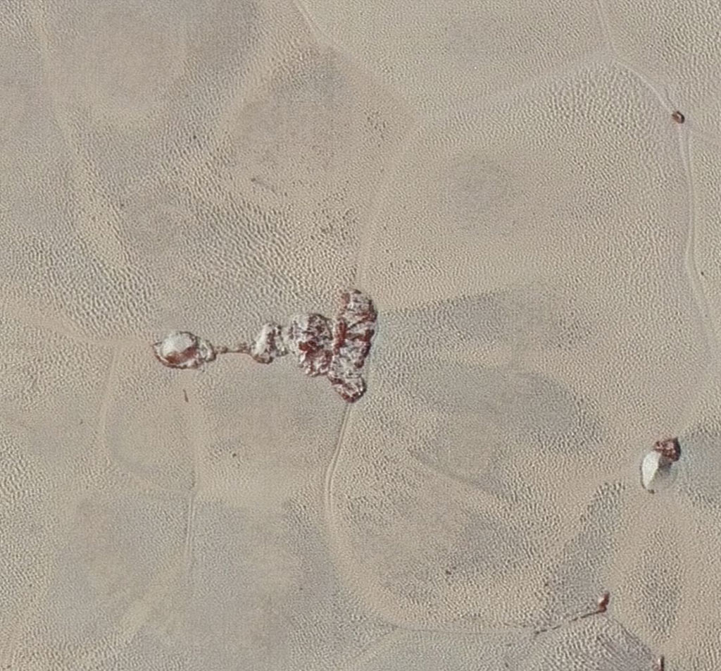 direct image of Pluto's terrain