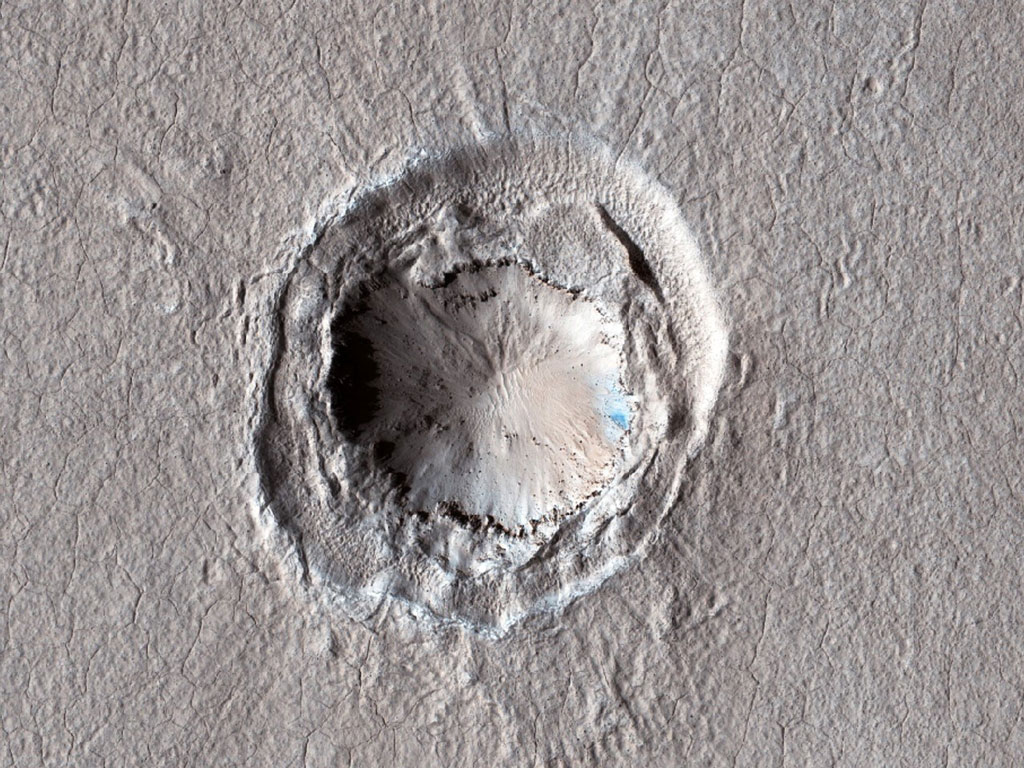 Utopia Plantia