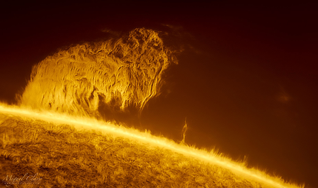Solar Mammoth