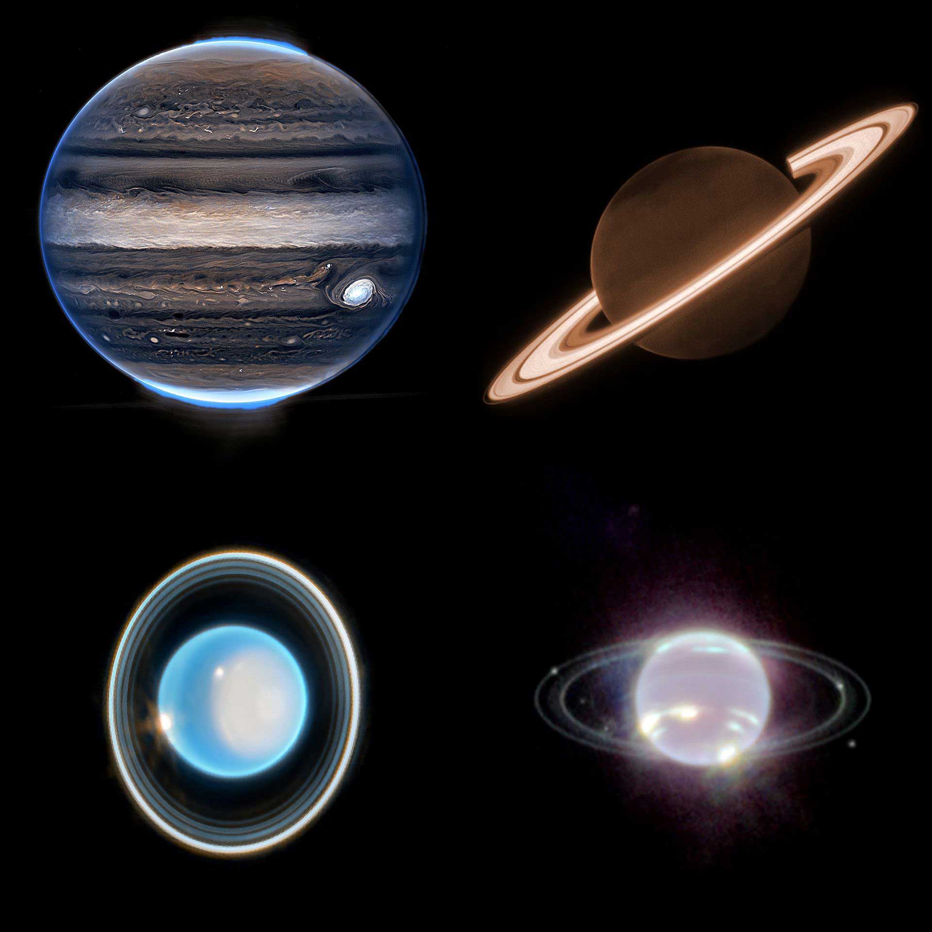 4 giants