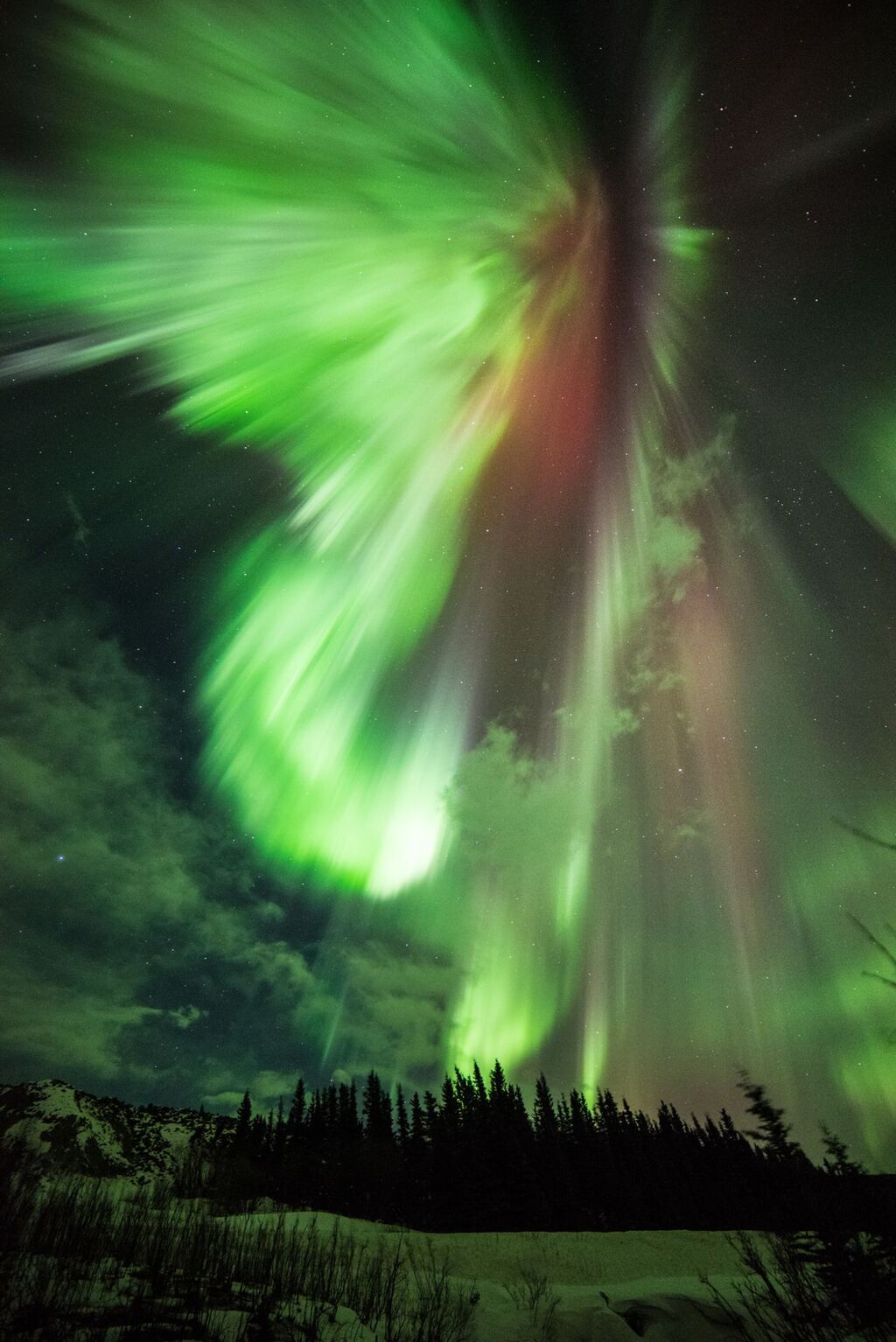 Beautiful green aurora lights in the night's sky