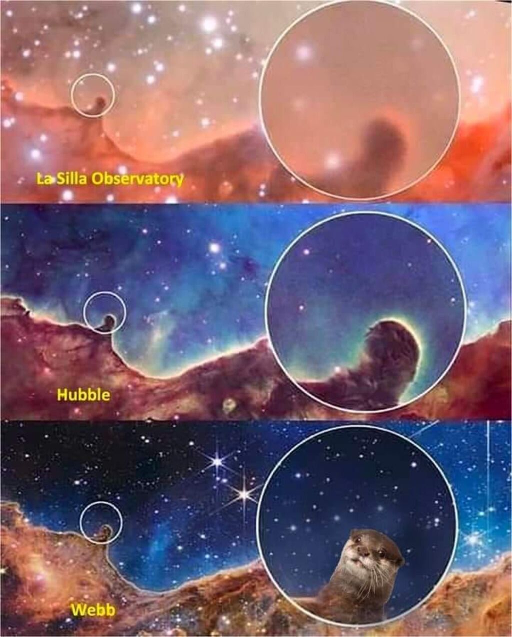 Cosmic Cliffs in the Carina Nebula resembling an otter peeking out