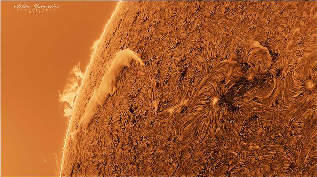 Sun in Detail B